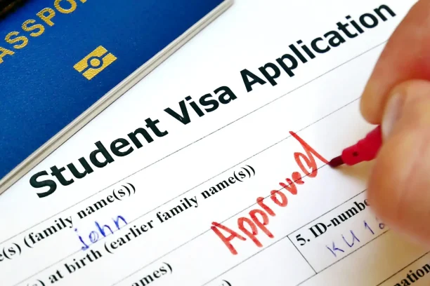 visa application - wisetech